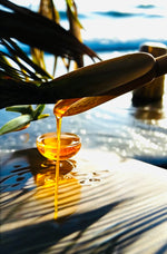 Golden Agave Nectar - *PRE ORDER* - Olive & Oils