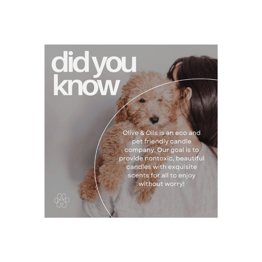 Winterberry Bliss Candle and woman holding dog explaining that Olive & Oils gives back
